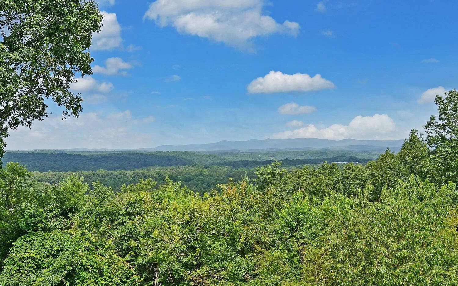 Birds Eye Cabin - Sunset & Starry Retreat Pet Friendly W Private Hottub, Fire Pit And Game Room Ellijay Dış mekan fotoğraf